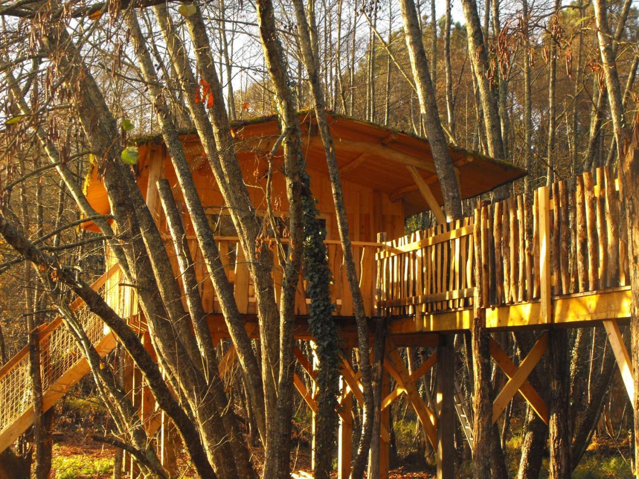 Cabane Des Cerfs Allons  Eksteriør bilde