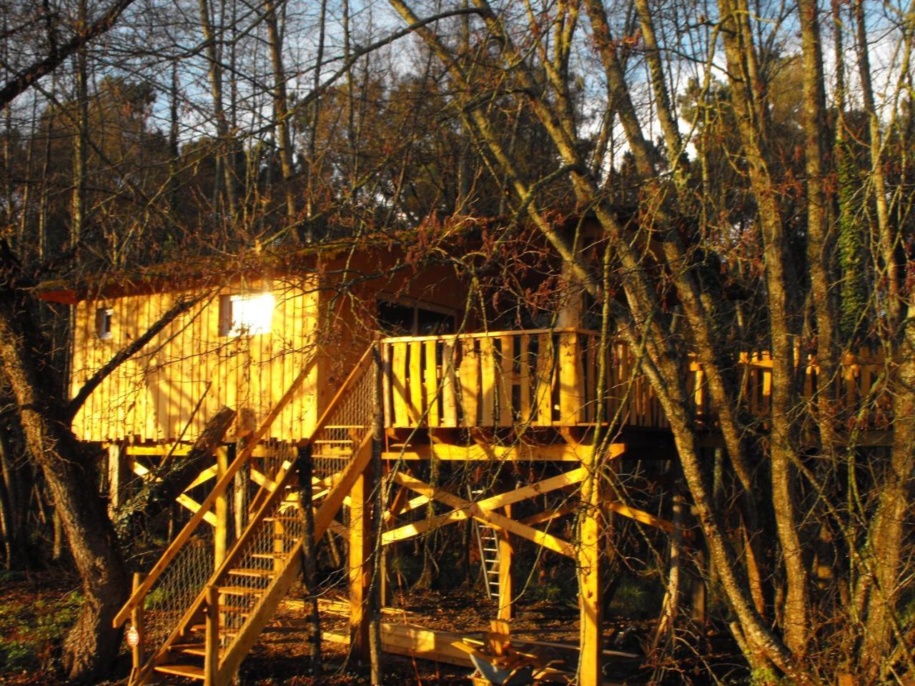 Cabane Des Cerfs Allons  Eksteriør bilde